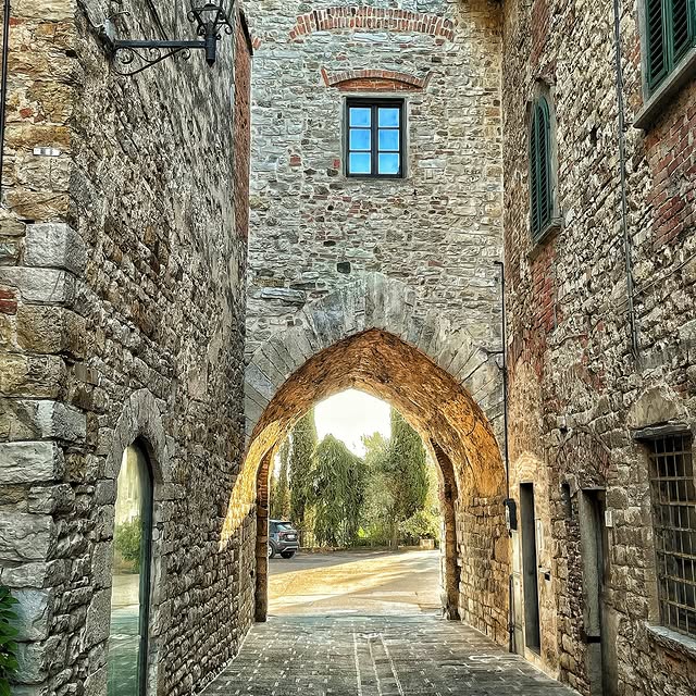  ......_viola   'recent posts' 