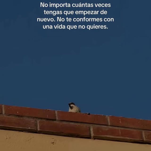  ......oencafe   'recent posts' 