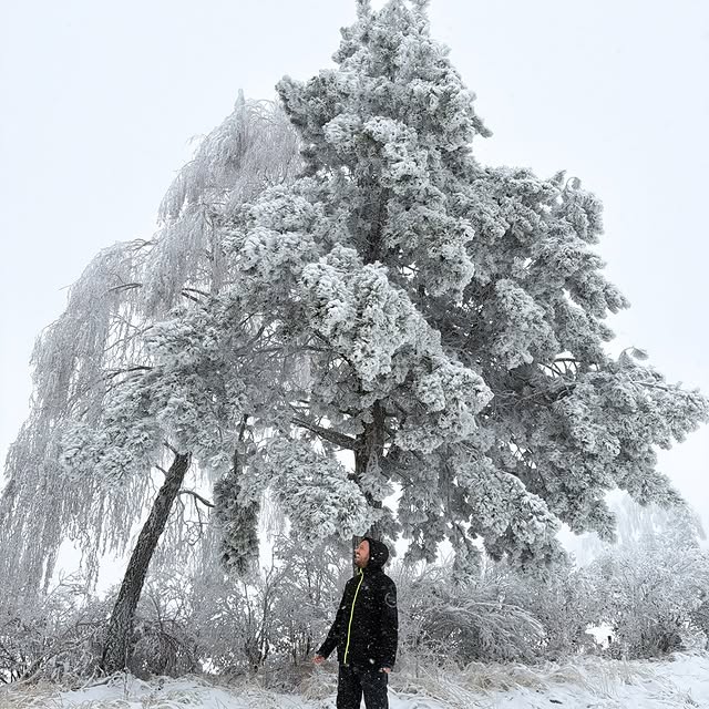  .......tamundos   'recent posts' 