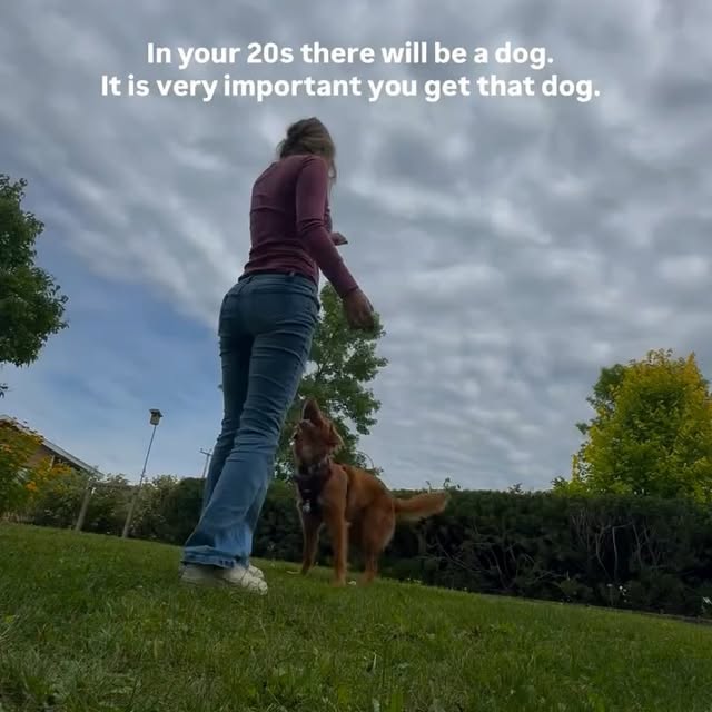  ......atoller   'recent posts' 