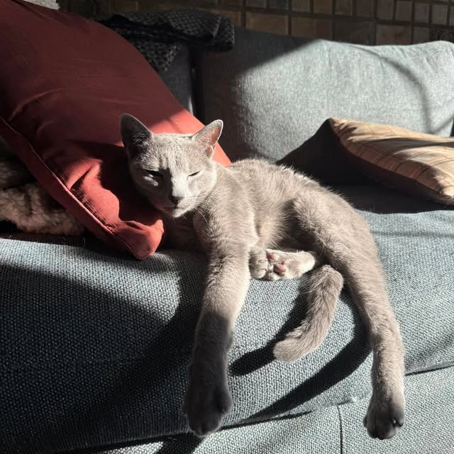  ......n_boris   'recent posts' 