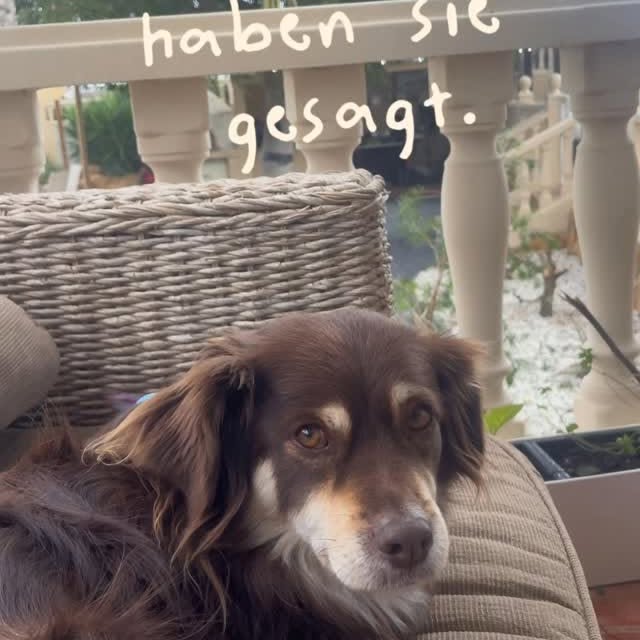  .....og2020   'recent posts' 