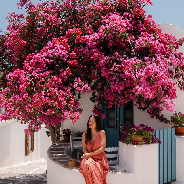  ..........altraveler   'recent posts' 