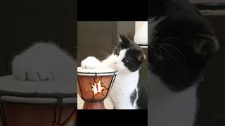  ....usic  'recent videos' 