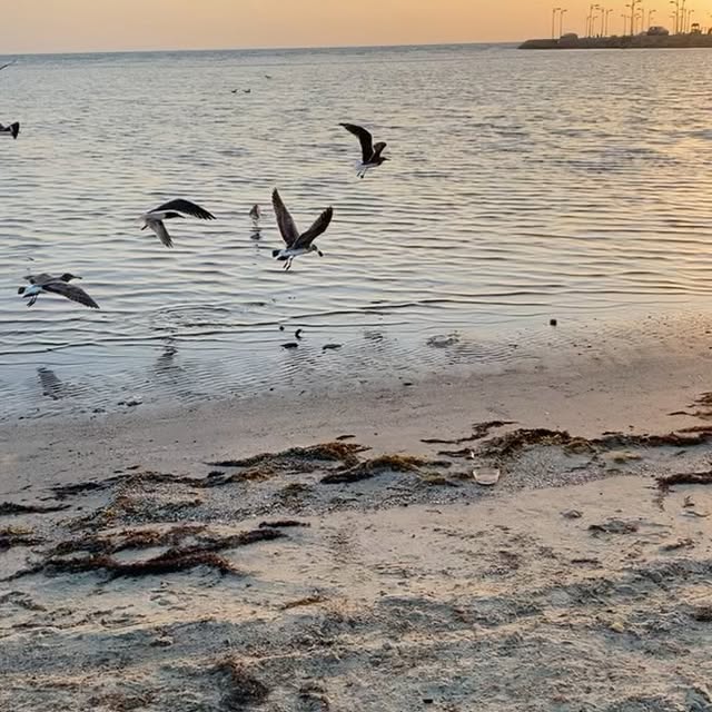  ......tooot33   'recent posts' 