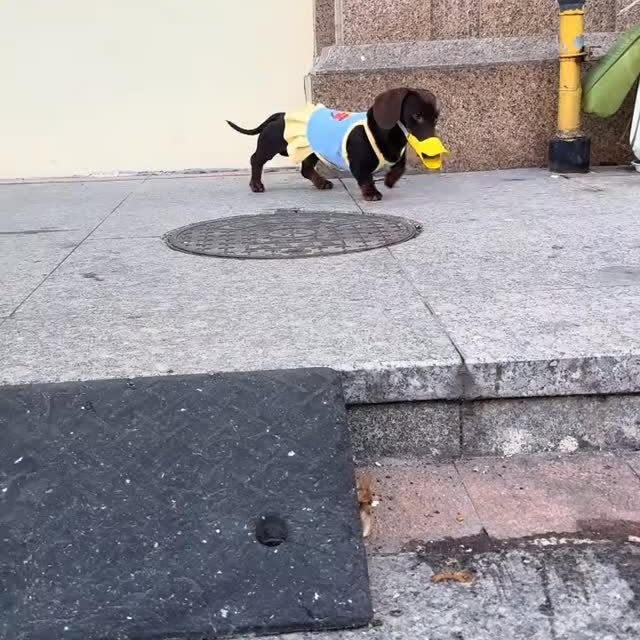  ..........fan.club_   'recent posts' 