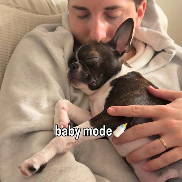  ........pizzalife   'recent posts' 