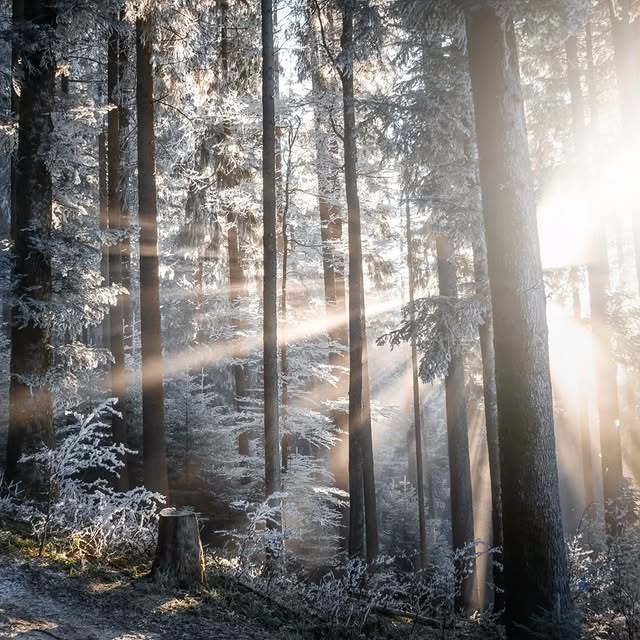  ..........discoverer   'recent posts' 