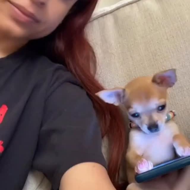  .......malshow   'recent posts' 