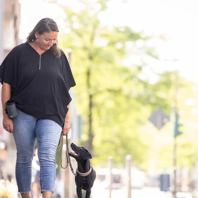  ......ogscute   'recent posts' 