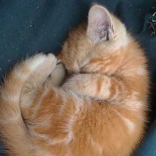 Hire ......f_day_ influencer with 1.2m