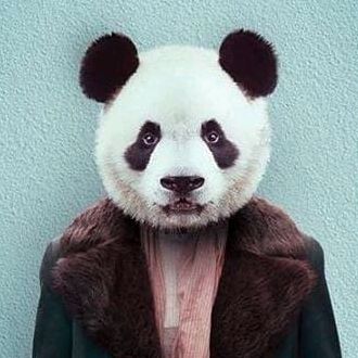 Hire ......lendin influencer with 17.5m