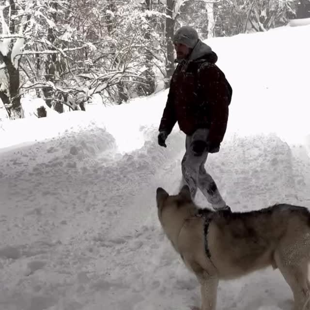  ......aveling   'recent posts' 