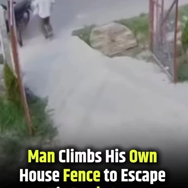  .......festory   'recent posts' 