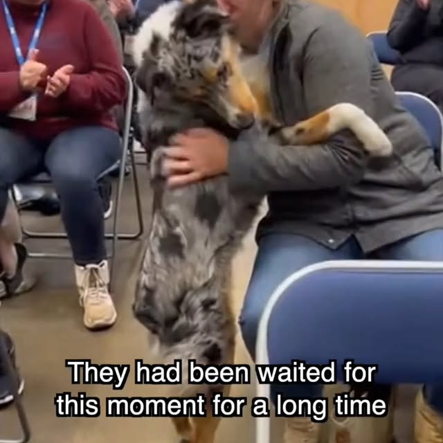  .....sland   'recent posts' 