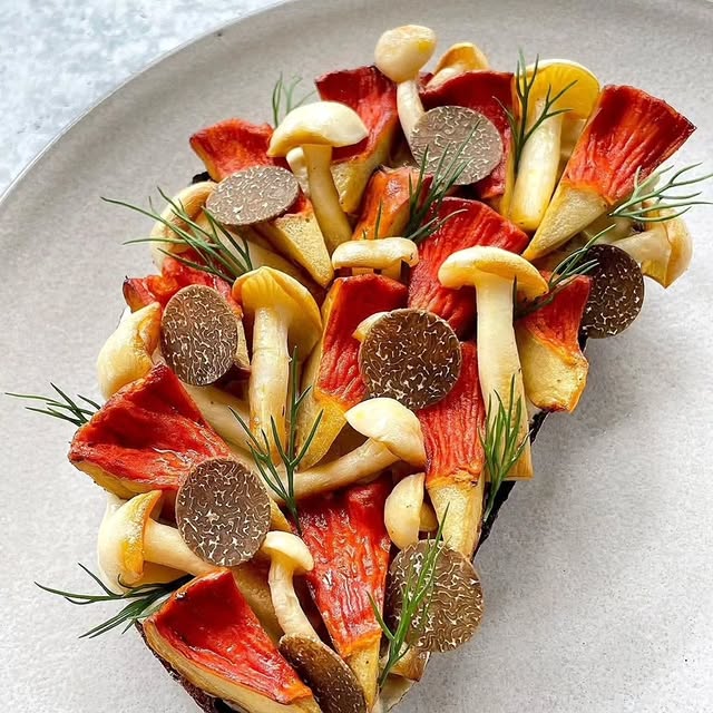  ......espain   'recent posts' 