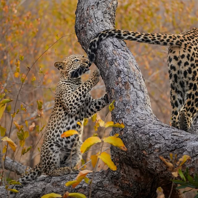  .........._sightings   'recent posts' 