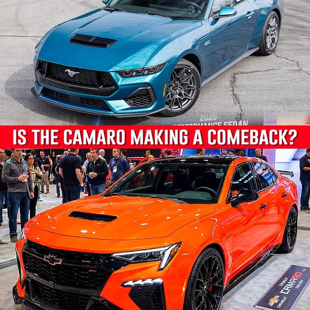  .......fanclub   'recent posts' 