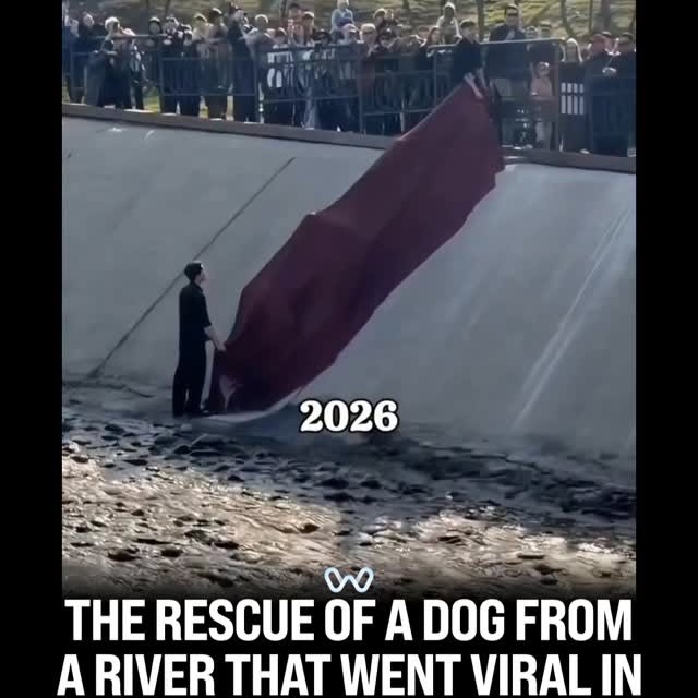  ........alth_club   'recent posts' 