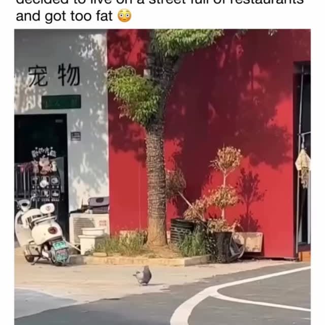  ..spd   'recent posts' 