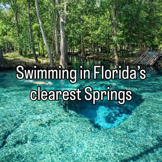  .....lorida   'recent posts' 