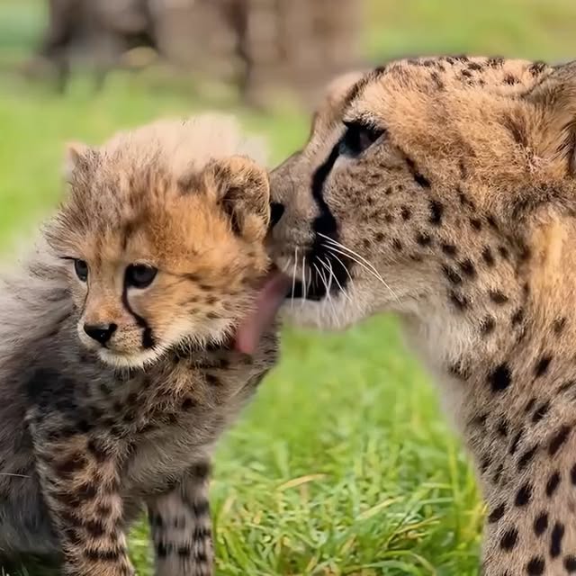  ........malsgram   'recent posts' 