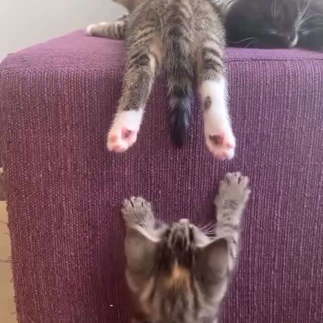  .....ns.hub   'recent posts' 