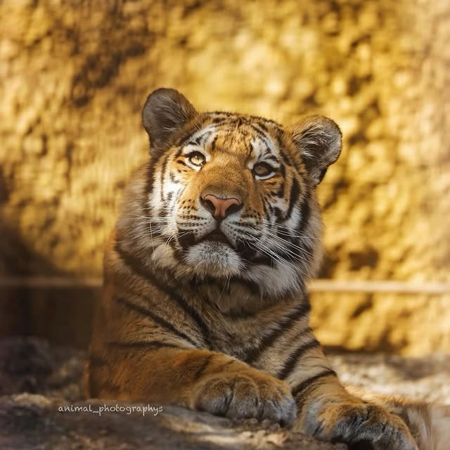  ......fehood   'recent posts' 