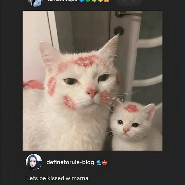  ......rldpage   'recent posts' 