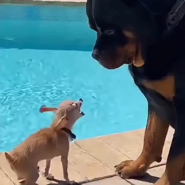  .......plorers   'recent posts' 