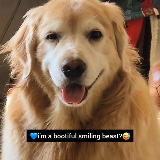  ..ps   'recent posts' 