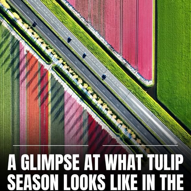  ......ravels   'recent posts' 