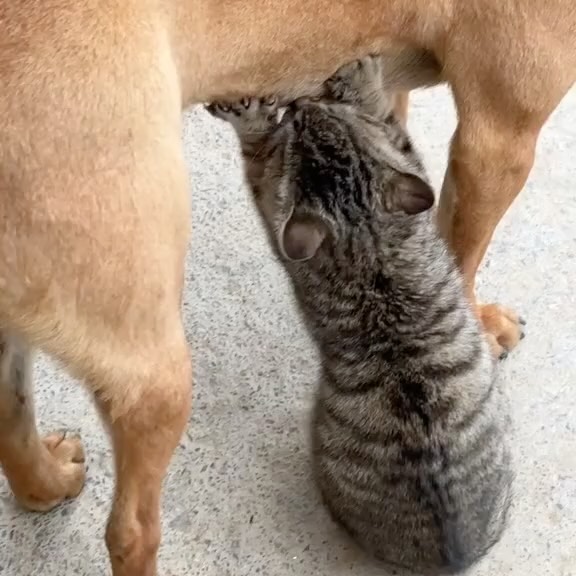  ...urre   'recent posts' 