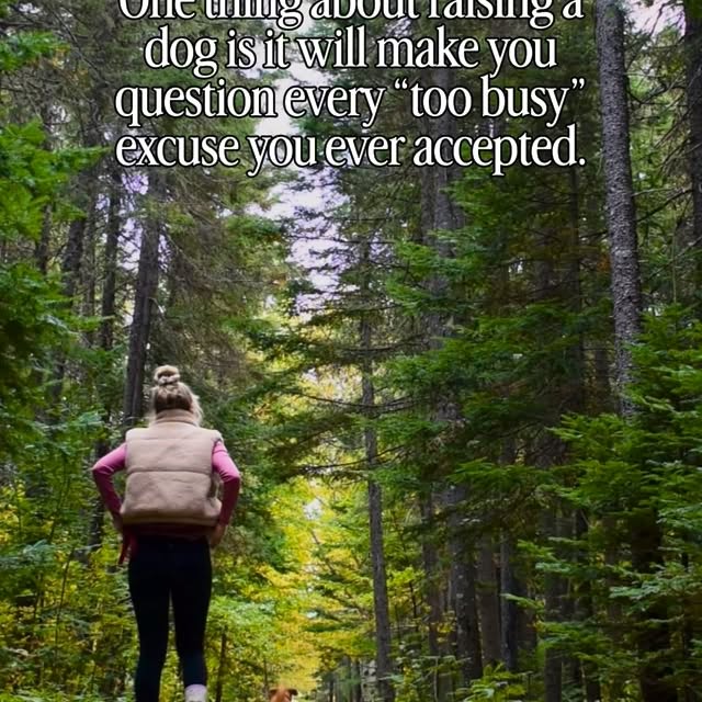  ......atoller   'recent posts' 