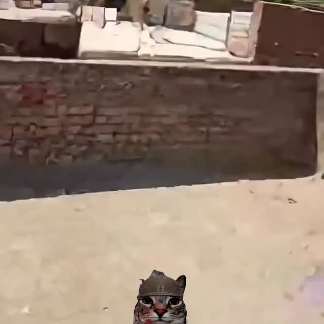  ....eowsy   'recent posts' 