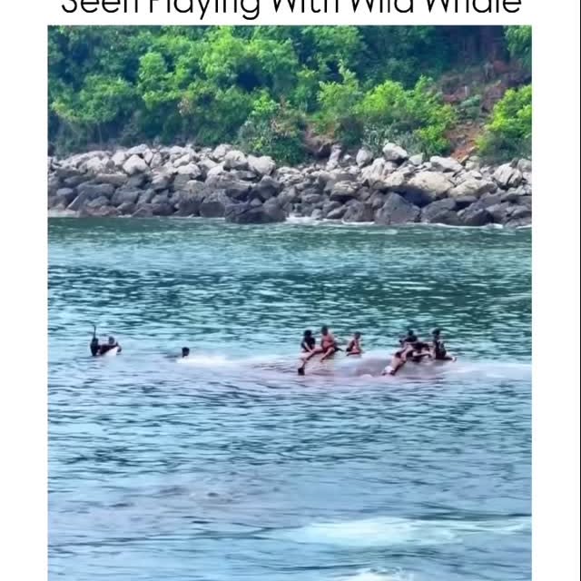  ........rldsnews   'recent posts' 