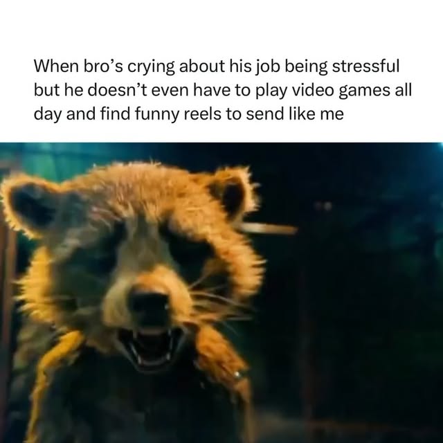  .....memes   'recent posts' 