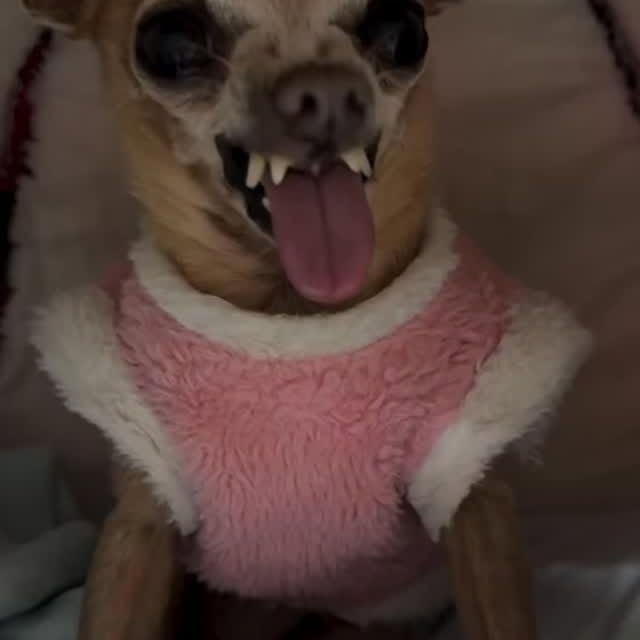  ........astiming   'recent posts' 