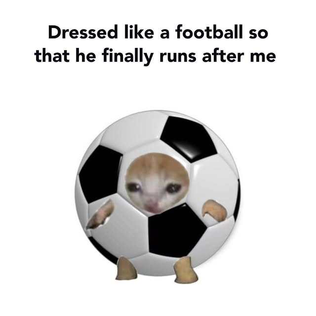  .......dstories   'recent posts' 