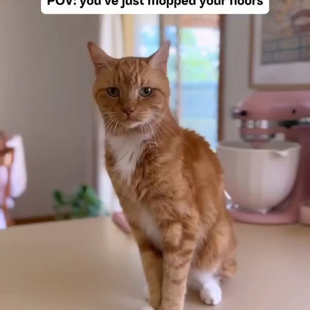  .....li9ht   'recent posts' 