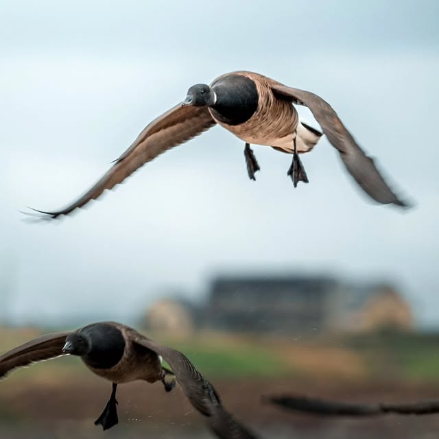  ........phpartsch   'recent posts' 