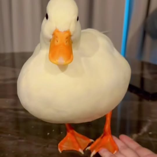  ........ckstatue   'recent posts' 