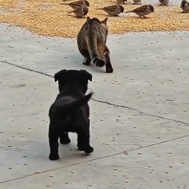  ...urre   'recent posts' 