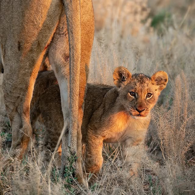  .........._sightings   'recent posts' 