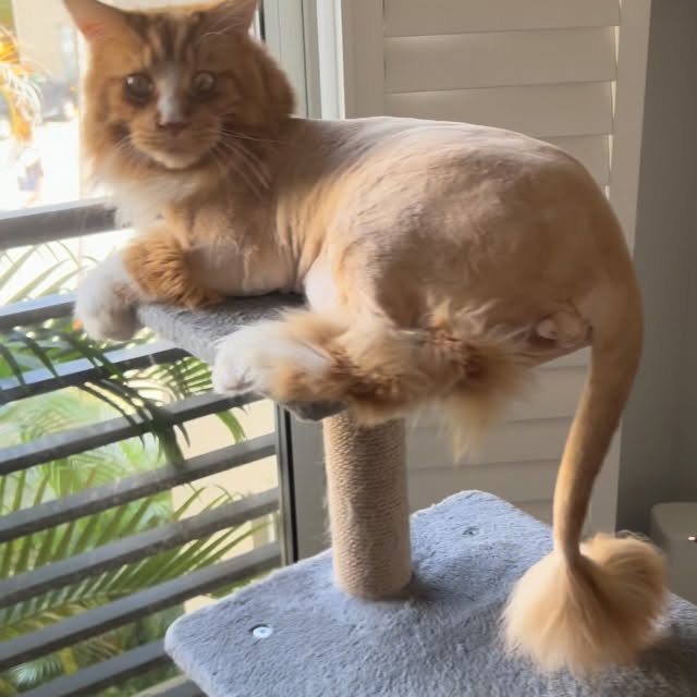  ......adamus   'recent posts' 