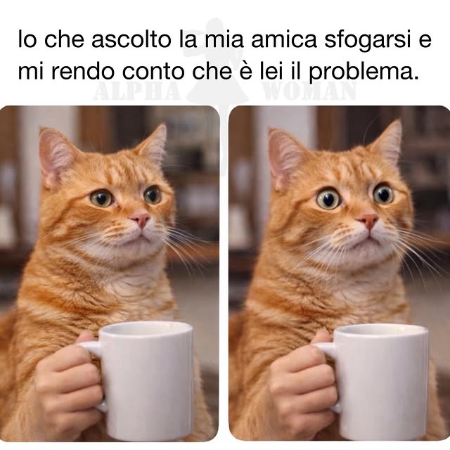  ..........n_official   'recent posts' 