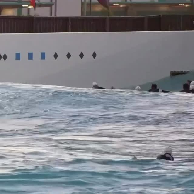  .....nique   'recent posts' 