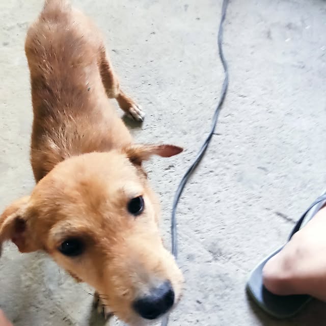  ......psworld   'recent posts' 