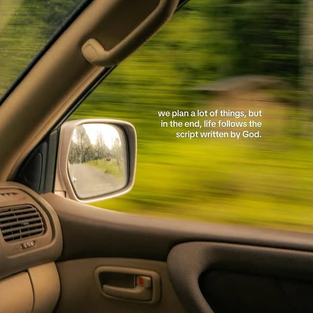  ......nlives   'recent posts' 