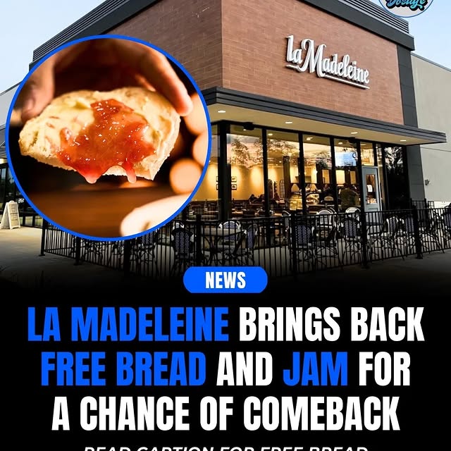  ......dosage   'recent posts' 